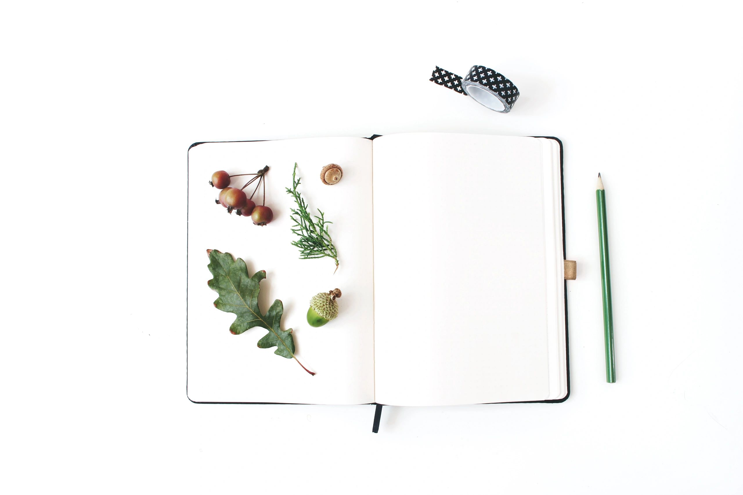Flat lay of notebook and seasonal desk items for reading and learning inspiration