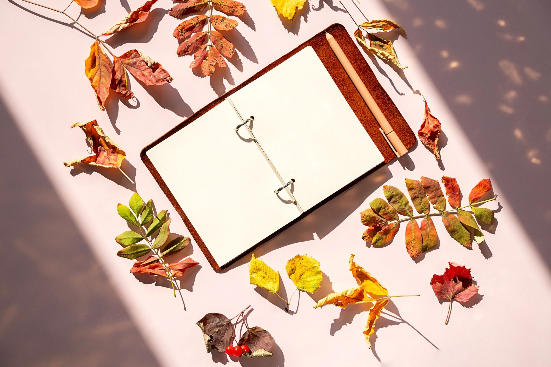 Open notebook with autumn leaves and pen for printable planning inspiration